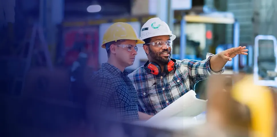 stand displays on site supervision